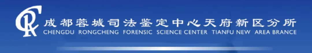 法律服务